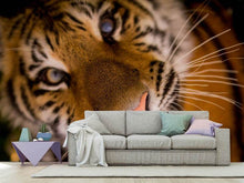 Laden Sie das Bild in den Galerie-Viewer, Fototapete Tiger Gesicht