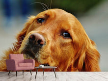Laden Sie das Bild in den Galerie-Viewer, Fototapete Treuer Irish Setter