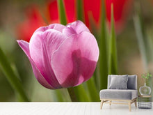 Laden Sie das Bild in den Galerie-Viewer, Fototapete Tulpe pretty in pink
