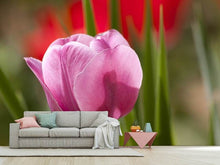 Laden Sie das Bild in den Galerie-Viewer, Fototapete Tulpe pretty in pink