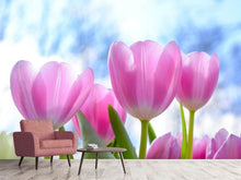 Laden Sie das Bild in den Galerie-Viewer, Fototapete Tulpen in der Natur