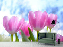 Laden Sie das Bild in den Galerie-Viewer, Fototapete Tulpen in der Natur