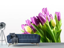 Laden Sie das Bild in den Galerie-Viewer, Fototapete Tulpen in XL