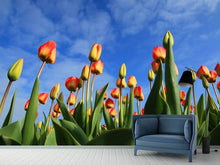 Laden Sie das Bild in den Galerie-Viewer, Fototapete Tulpen ragen zum Himmel