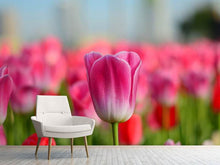 Laden Sie das Bild in den Galerie-Viewer, Fototapete Tulpenfeld in rosa-rot