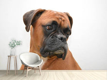 Laden Sie das Bild in den Galerie-Viewer, Fototapete Typisch Boxer