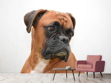 Laden Sie das Bild in den Galerie-Viewer, Fototapete Typisch Boxer
