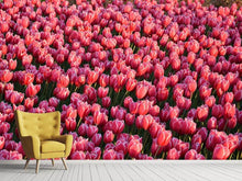 Laden Sie das Bild in den Galerie-Viewer, Fototapete Üppiges Tulpenfeld