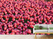 Laden Sie das Bild in den Galerie-Viewer, Fototapete Üppiges Tulpenfeld