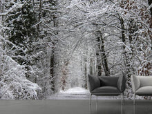 Laden Sie das Bild in den Galerie-Viewer, Fototapete Verzauberter Winterwald