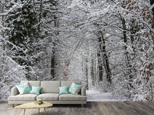 Laden Sie das Bild in den Galerie-Viewer, Fototapete Verzauberter Winterwald