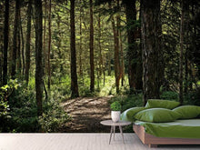 Laden Sie das Bild in den Galerie-Viewer, Fototapete Viele Bäume
