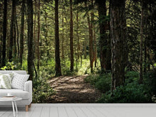 Laden Sie das Bild in den Galerie-Viewer, Fototapete Viele Bäume