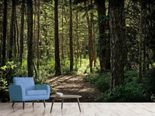 Laden Sie das Bild in den Galerie-Viewer, Fototapete Viele Bäume