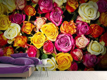Laden Sie das Bild in den Galerie-Viewer, Fototapete Viele bunte Rosenblüten