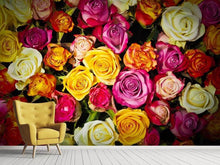 Laden Sie das Bild in den Galerie-Viewer, Fototapete Viele bunte Rosenblüten