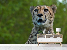 Laden Sie das Bild in den Galerie-Viewer, Fototapete Wachsamer Gepard