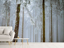 Laden Sie das Bild in den Galerie-Viewer, Fototapete Wald im Winter
