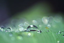 Laden Sie das Bild in den Galerie-Viewer, Fototapete Wassertropfen in XXL
