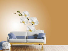 Laden Sie das Bild in den Galerie-Viewer, Fototapete Weisse Orchideen XL