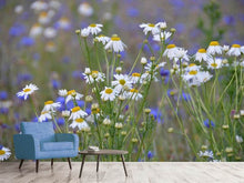 Laden Sie das Bild in den Galerie-Viewer, Fototapete Wilde Blumenwiese