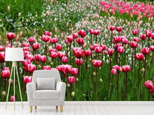 Laden Sie das Bild in den Galerie-Viewer, Fototapete Wildes Tulpenfeld