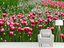 Laden Sie das Bild in den Galerie-Viewer, Fototapete Wildes Tulpenfeld