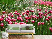 Laden Sie das Bild in den Galerie-Viewer, Fototapete Wildes Tulpenfeld