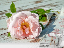 Laden Sie das Bild in den Galerie-Viewer, Fototapete Wildrose in rosa