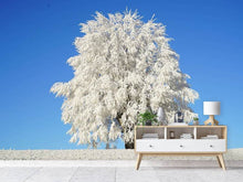 Laden Sie das Bild in den Galerie-Viewer, Fototapete Winter Baum