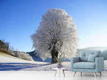 Laden Sie das Bild in den Galerie-Viewer, Fototapete Winter Märchen