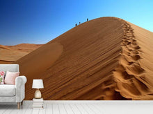 Laden Sie das Bild in den Galerie-Viewer, Fototapete Wüstenwanderung in Namibia