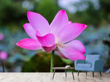 Laden Sie das Bild in den Galerie-Viewer, Fototapete Wunderschöne Lotus