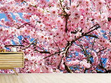 Laden Sie das Bild in den Galerie-Viewer, Fototapete Wundervolle Japanische Zierkirsche