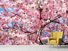 Laden Sie das Bild in den Galerie-Viewer, Fototapete Wundervolle Japanische Zierkirsche