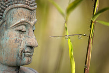 Laden Sie das Bild in den Galerie-Viewer, Fototapete XL Buddha Kopf