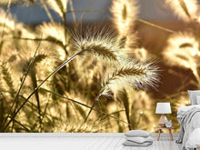 Laden Sie das Bild in den Galerie-Viewer, Fototapete Ziergras im Sonnenlicht