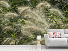 Laden Sie das Bild in den Galerie-Viewer, Fototapete Ziergrass im Wind