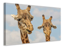 Laden Sie das Bild in den Galerie-Viewer, Leinwandbild 2 Giraffen