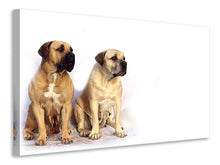 Laden Sie das Bild in den Galerie-Viewer, Leinwandbild 2 Mastiffs