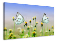 Laden Sie das Bild in den Galerie-Viewer, Leinwandbild 2 Schmetterlinge