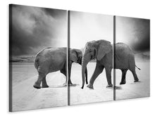 Laden Sie das Bild in den Galerie-Viewer, Leinwandbild 3-teilig 2 Elefanten sw