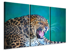 Laden Sie das Bild in den Galerie-Viewer, Leinwandbild 3-teilig Achtung Leopard