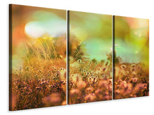 Laden Sie das Bild in den Galerie-Viewer, Leinwandbild 3-teilig Blumenwiese in der Abenddämmerung