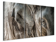Laden Sie das Bild in den Galerie-Viewer, Leinwandbild 3-teilig Close Up Elefant