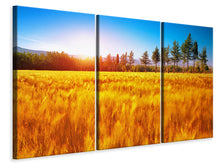 Laden Sie das Bild in den Galerie-Viewer, Leinwandbild 3-teilig Der Herbst