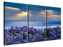 Laden Sie das Bild in den Galerie-Viewer, Leinwandbild 3-teilig Der Lavendel und das Meer