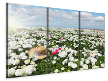 Laden Sie das Bild in den Galerie-Viewer, Leinwandbild 3-teilig Die Frühlingsblumenwiese