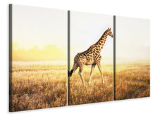 Laden Sie das Bild in den Galerie-Viewer, Leinwandbild 3-teilig Die Giraffe