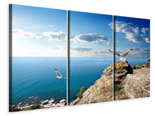 Laden Sie das Bild in den Galerie-Viewer, Leinwandbild 3-teilig Die Möwen und das Meer